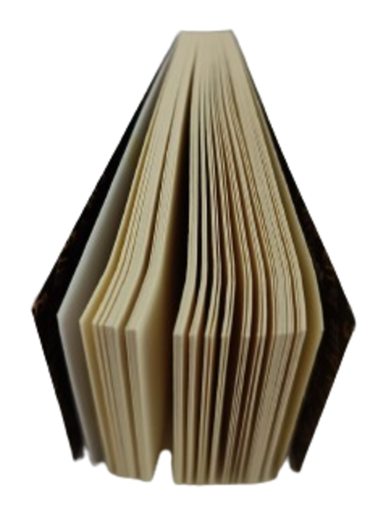 Tips Sadhu  Mega Large